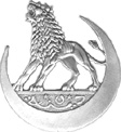 emblème de la 5ème DINA